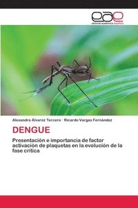 bokomslag Dengue