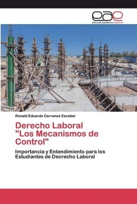 Derecho Laboral &quot;Los Mecanismos de Control&quot; 1