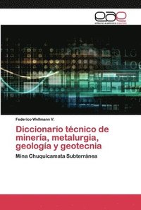 bokomslag Diccionario tcnico de minera, metalurgia, geologa y geotecnia