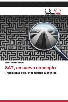 SAT, un nuevo concepto 1