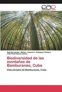bokomslag Biodiversidad de las montaas de Bamburanao, Cuba