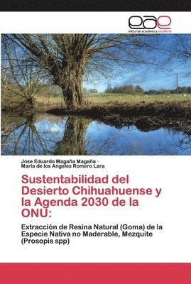 Sustentabilidad del Desierto Chihuahuense y la Agenda 2030 de la ONU 1