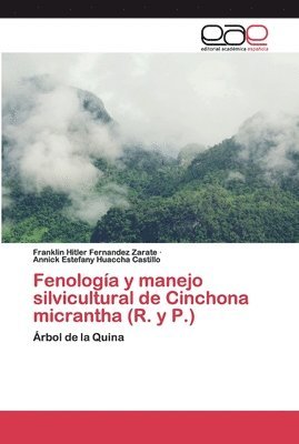 Fenologa y manejo silvicultural de Cinchona micrantha (R. y P.) 1