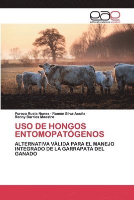 USO de Hongos Entomopatgenos 1