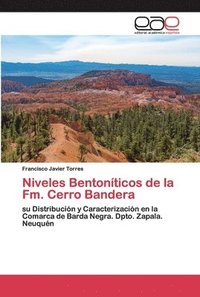 bokomslag Niveles Bentonticos de la Fm. Cerro Bandera