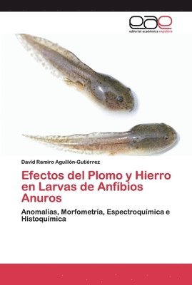 bokomslag Efectos del Plomo y Hierro en Larvas de Anfbios Anuros