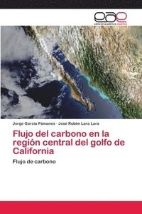 bokomslag Flujo del carbono en la regin central del golfo de California