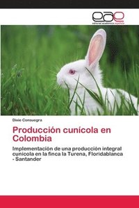 bokomslag Produccin cuncola en Colombia