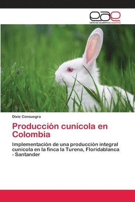 bokomslag Produccin cuncola en Colombia