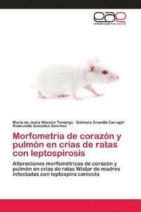 bokomslag Morfometra de corazn y pulmn en cras de ratas con leptospirosis