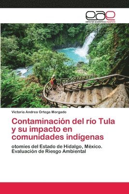 Contaminacin del ro Tula y su impacto en comunidades indgenas 1