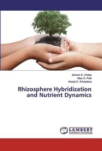 bokomslag Rhizosphere Hybridization and Nutrient Dynamics