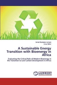 bokomslag A Sustainable Energy Transition with Bioenergy in Africa