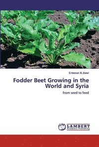 bokomslag Fodder Beet Growing in the World and Syria