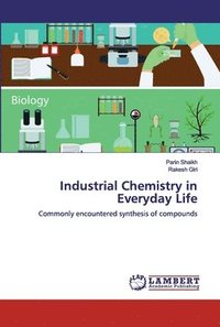 bokomslag Industrial Chemistry in Everyday Life