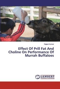 bokomslag Effect Of Prill Fat And Choline On Performance Of Murrah Buffaloes