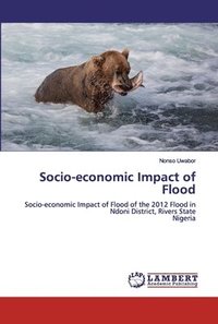 bokomslag Socio-economic Impact of Flood