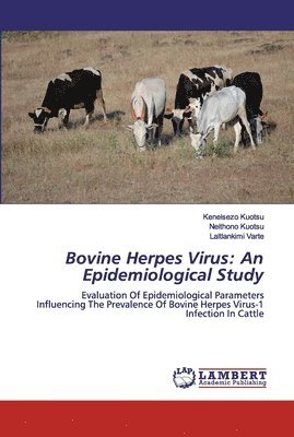 Bovine Herpes Virus 1