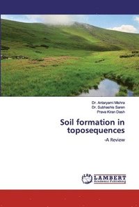 bokomslag Soil formation in toposequences