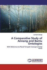 bokomslag A Comparative Study of Annang and Bantu Ontologies
