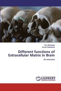 bokomslag Different functions of Extracellular Matrix in Brain