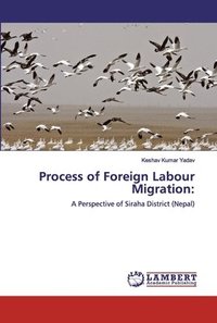 bokomslag Process of Foreign Labour Migration