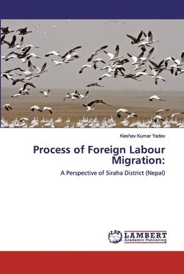 Process of Foreign Labour Migration 1