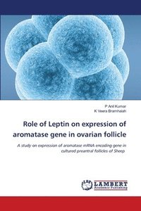 bokomslag Role of Leptin on expression of aromatase gene in ovarian follicle
