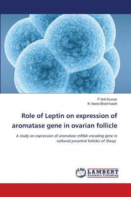Role of Leptin on expression of aromatase gene in ovarian follicle 1