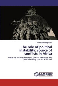 bokomslag The role of political instability