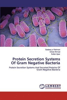 bokomslag Protein Secretion Systems Of Gram Negative Bacteria