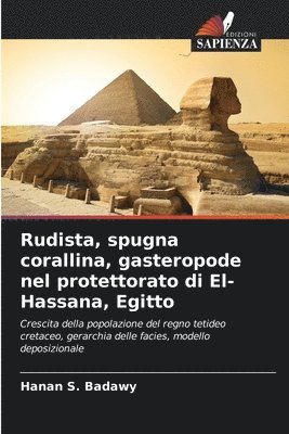 Rudista, spugna corallina, gasteropode nel protettorato di El-Hassana, Egitto