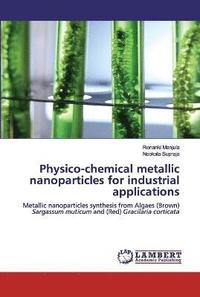 bokomslag Physico-chemical metallic nanoparticles for industrial applications