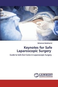 bokomslag Keynotes for Safe Laparoscopic Surgery