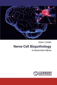 bokomslag Nerve Cell Biopathology