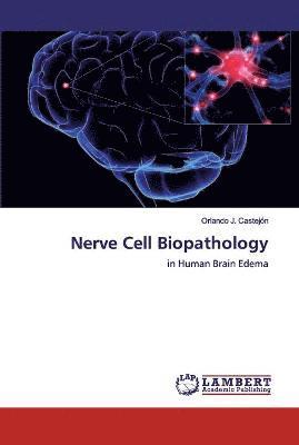 Nerve Cell Biopathology 1