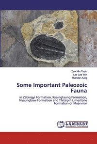 bokomslag Some Important Paleozoic Fauna