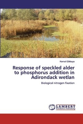 bokomslag Response of speckled alder to phosphorus addition in Adirondack wetlan