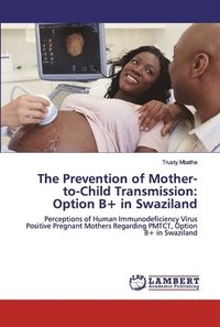 bokomslag The Prevention of Mother-to-Child Transmission