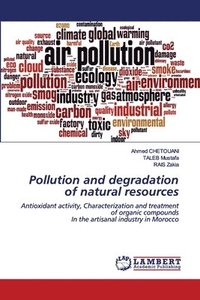 bokomslag Pollution and degradation of natural resources