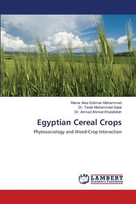 Egyptian Cereal Crops 1