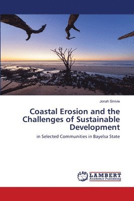 bokomslag Coastal Erosion and the Challenges of Sustainable Development