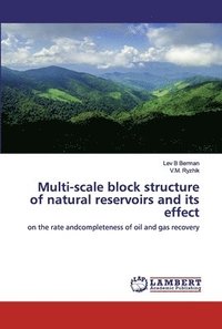 bokomslag Multi-scale block structure of natural reservoirs and its effect