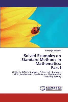 bokomslag Solved Examples on Standard Methods in Mathematics