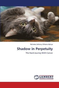 bokomslag Shadow in Perpetuity