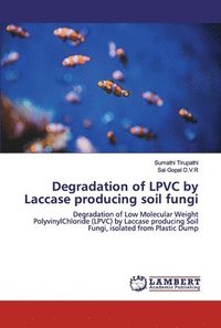 bokomslag Degradation of LPVC by Laccase producing soil fungi
