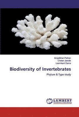 bokomslag Biodiversity of Invertebrates
