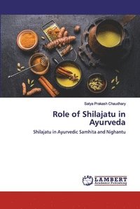 bokomslag Role of Shilajatu in Ayurveda