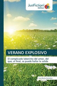 bokomslag Verano Explosivo