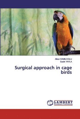 Surgical approach in cage birds 1